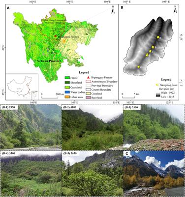 Divergent Responses of Floral Traits of Lonicera nervosa to Altitudinal Gradients at the Eastern Margin of Hengduan Mountains